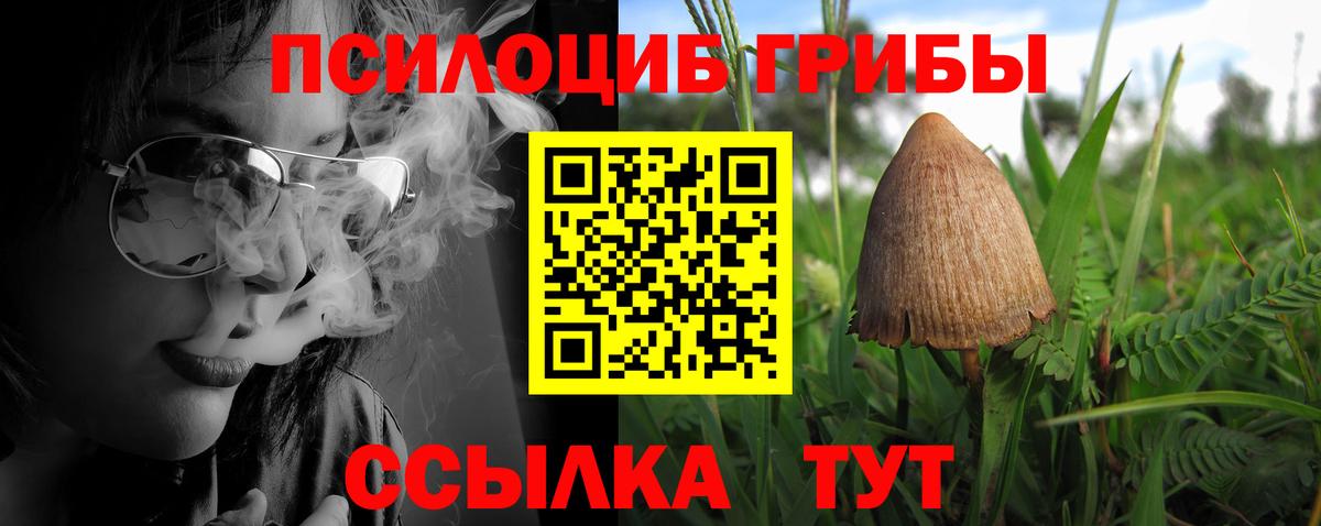 Псилоцибиновые грибы мухоморы  Вход с VPN  Киржач  Галлюциногенные грибы Psilocybe 